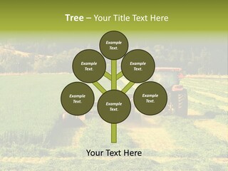 Field Windrow Agricultural PowerPoint Template