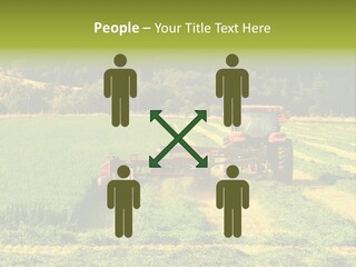 Field Windrow Agricultural PowerPoint Template