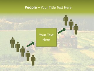 Field Windrow Agricultural PowerPoint Template
