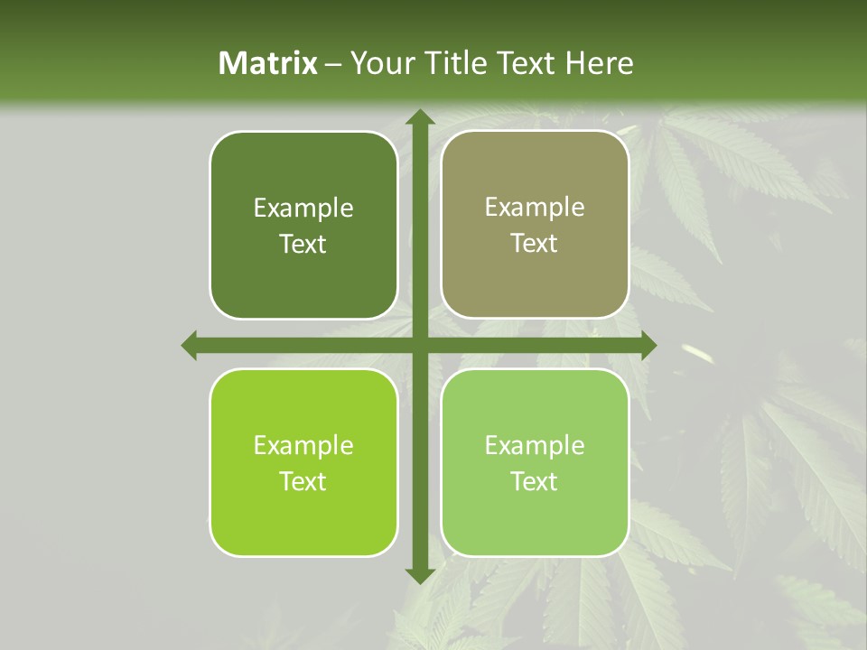 Floral Agriculture Illegal PowerPoint Template