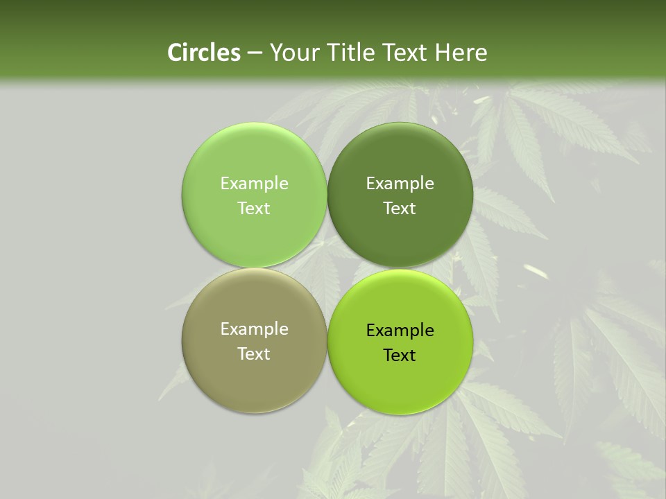 Floral Agriculture Illegal PowerPoint Template