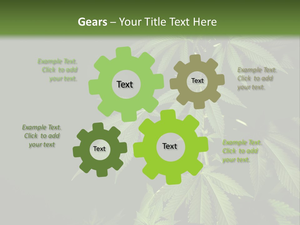 Floral Agriculture Illegal PowerPoint Template