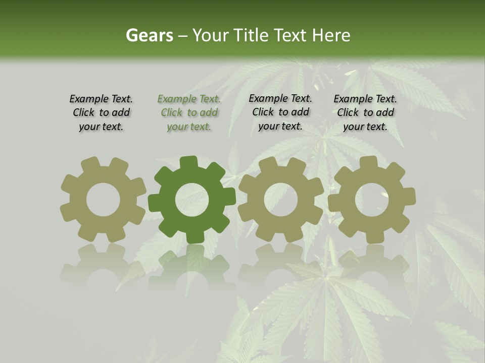 Floral Agriculture Illegal PowerPoint Template