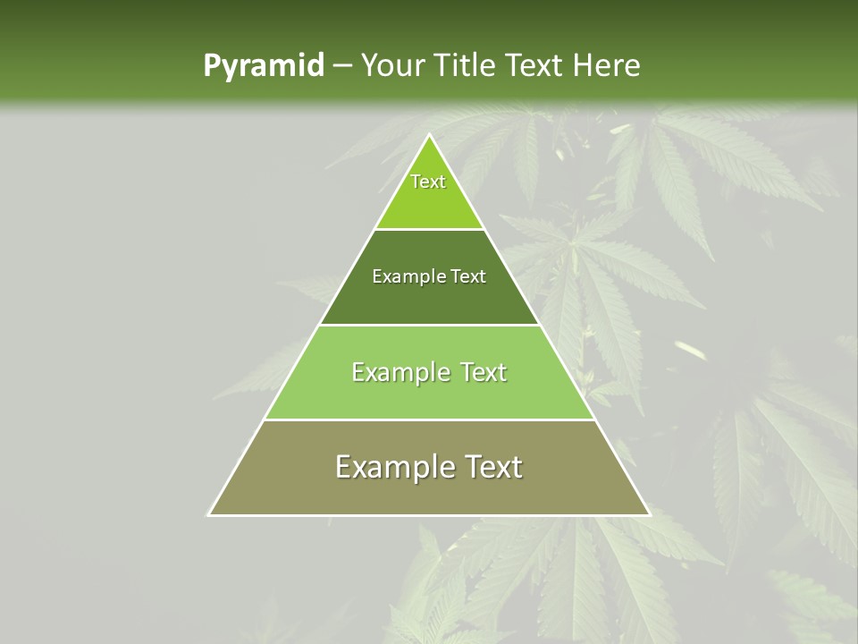 Floral Agriculture Illegal PowerPoint Template