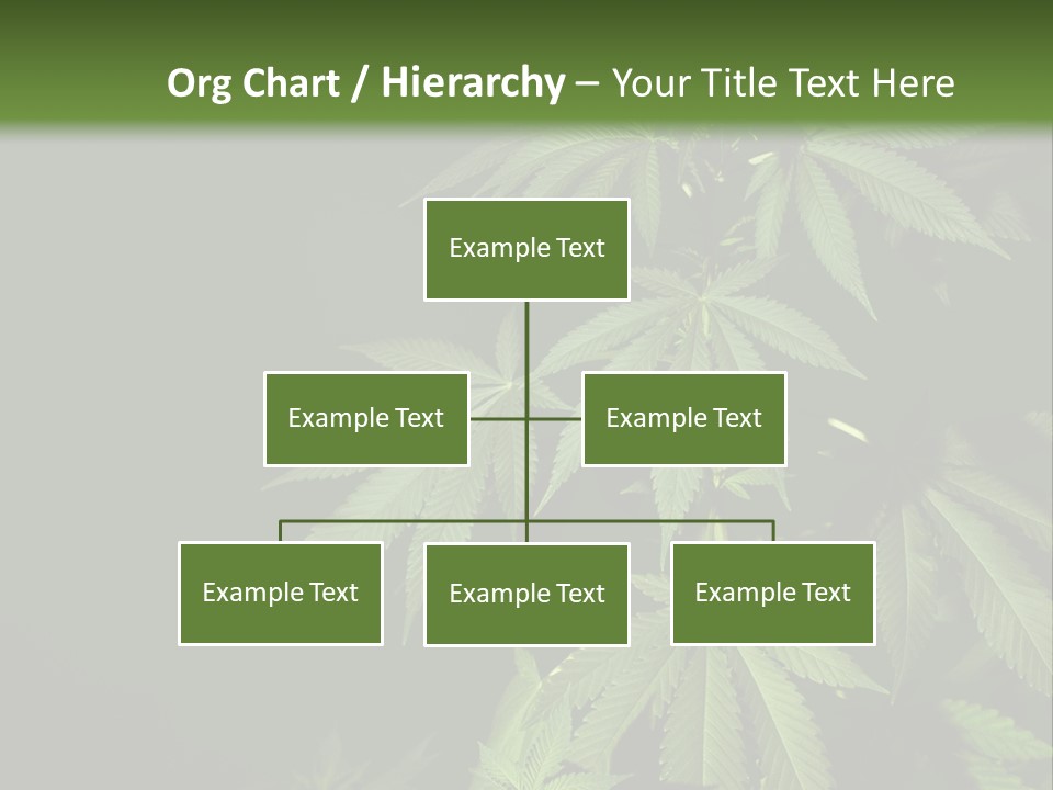Floral Agriculture Illegal PowerPoint Template