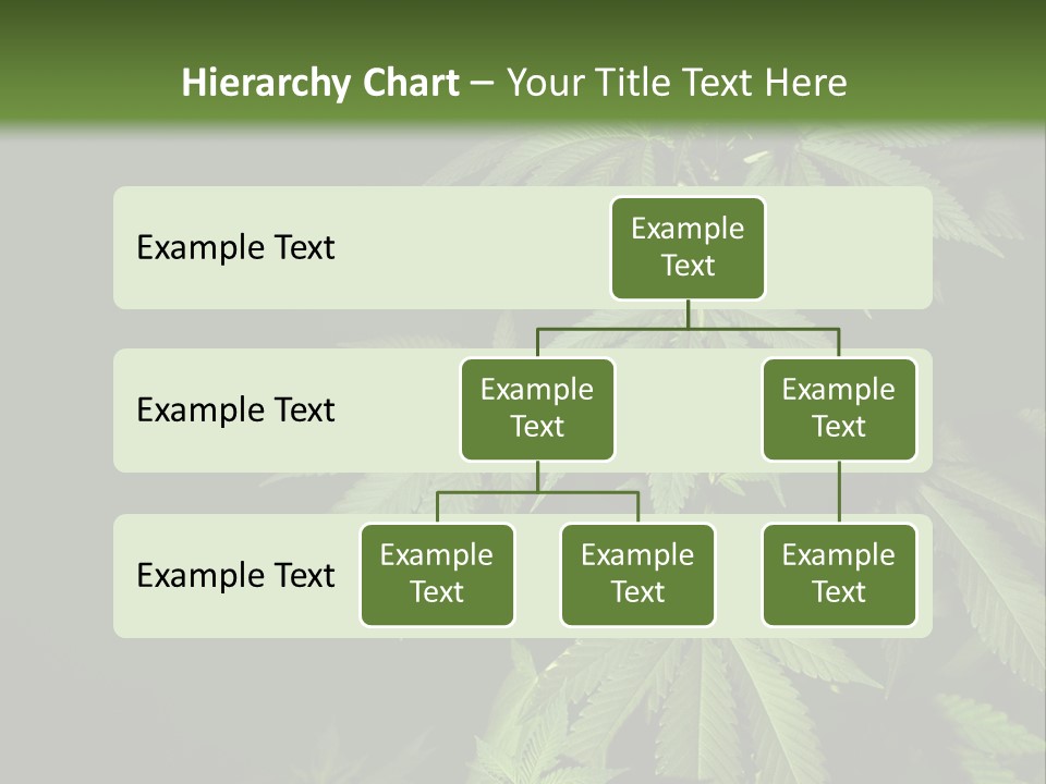 Floral Agriculture Illegal PowerPoint Template