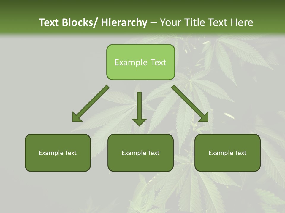 Floral Agriculture Illegal PowerPoint Template