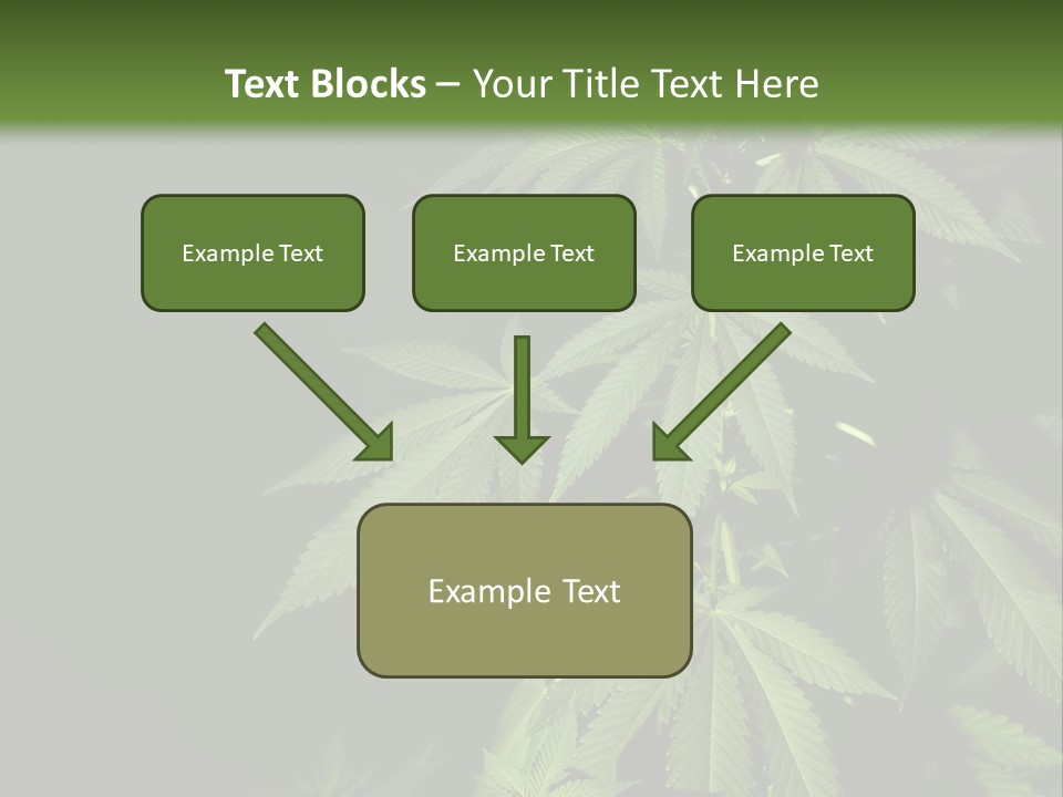 Floral Agriculture Illegal PowerPoint Template