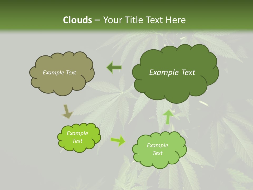 Floral Agriculture Illegal PowerPoint Template