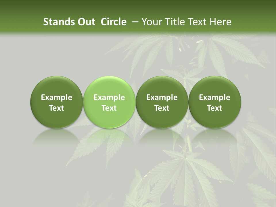 Floral Agriculture Illegal PowerPoint Template