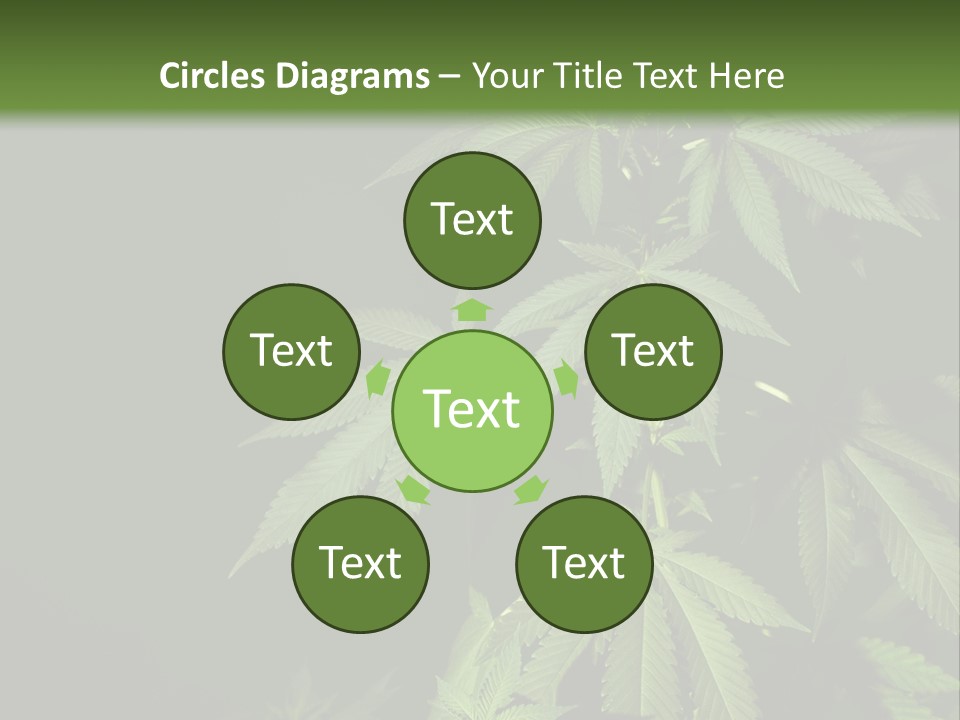 Floral Agriculture Illegal PowerPoint Template