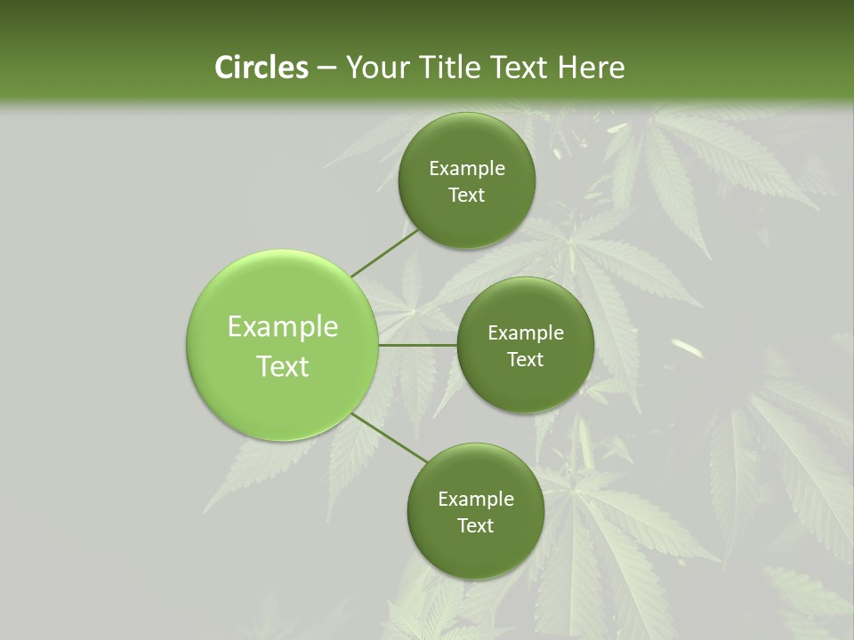 Floral Agriculture Illegal PowerPoint Template