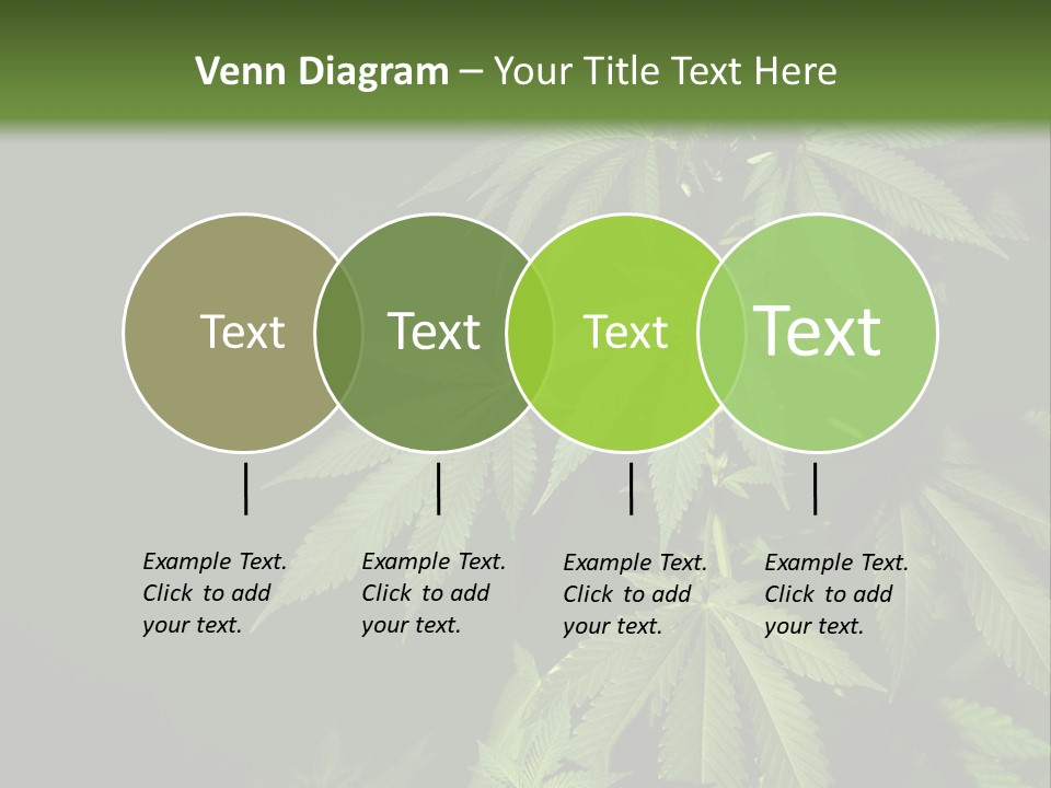 Floral Agriculture Illegal PowerPoint Template