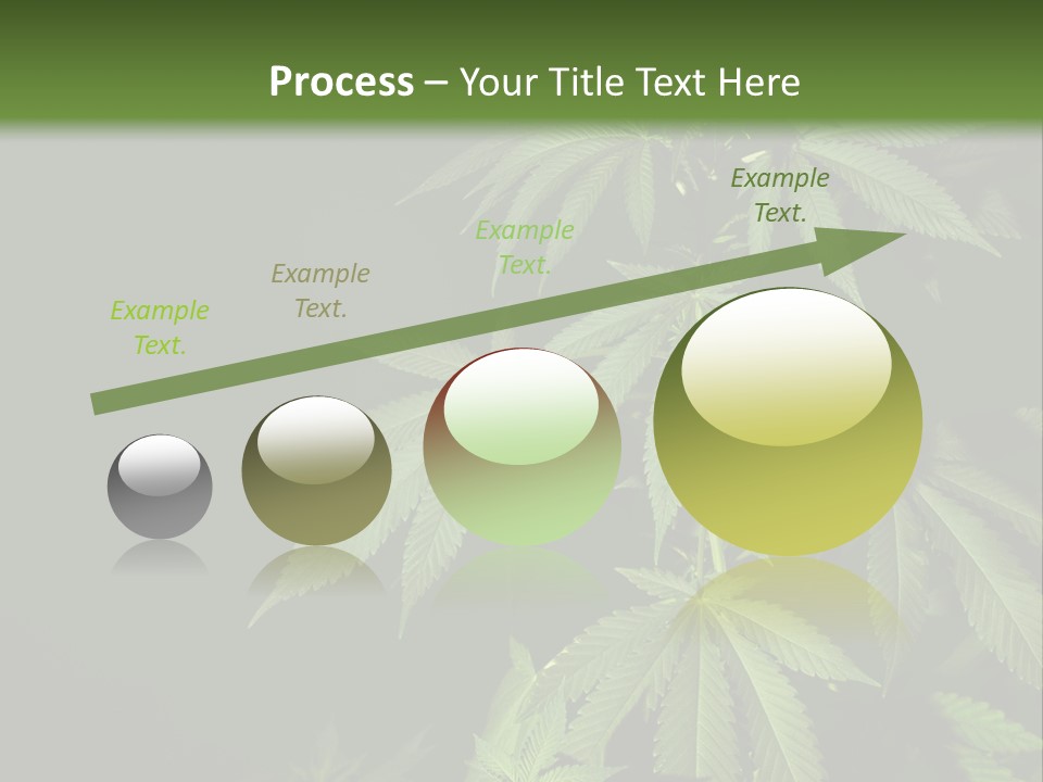 Floral Agriculture Illegal PowerPoint Template