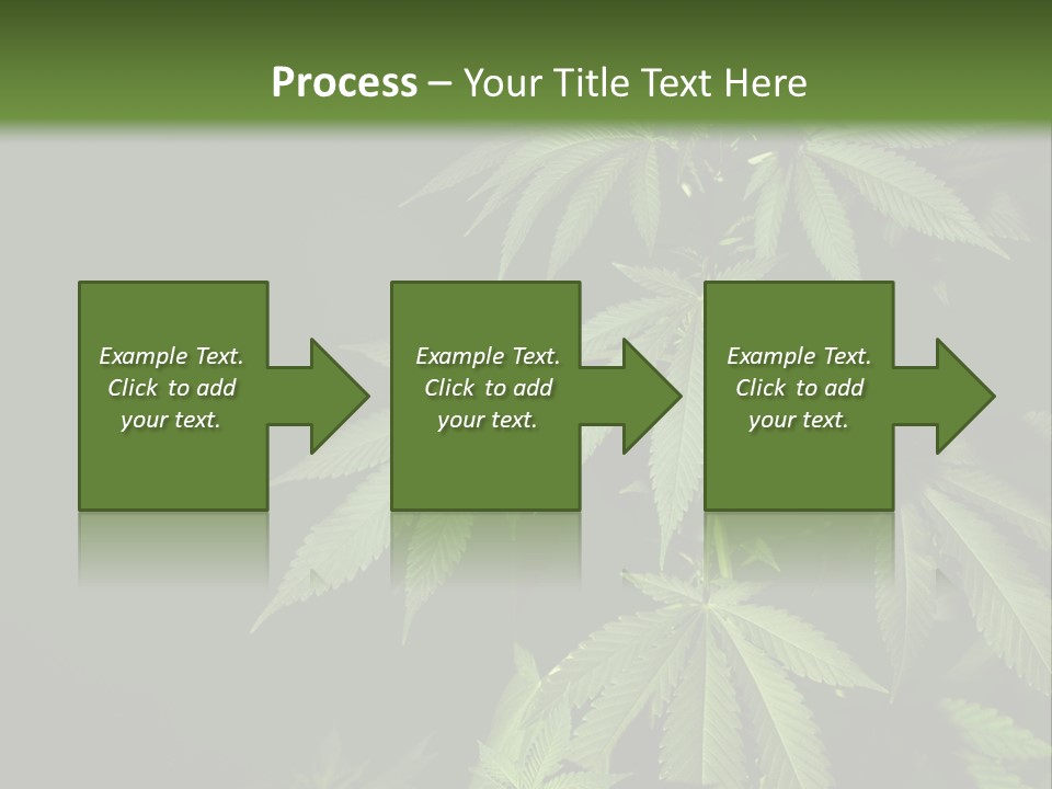 Floral Agriculture Illegal PowerPoint Template