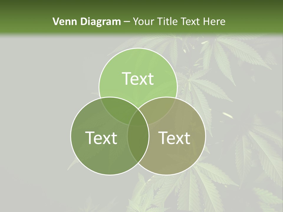Floral Agriculture Illegal PowerPoint Template
