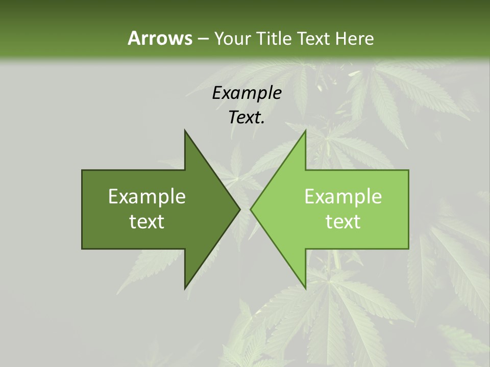 Floral Agriculture Illegal PowerPoint Template