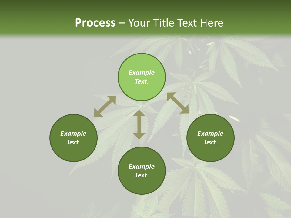 Floral Agriculture Illegal PowerPoint Template