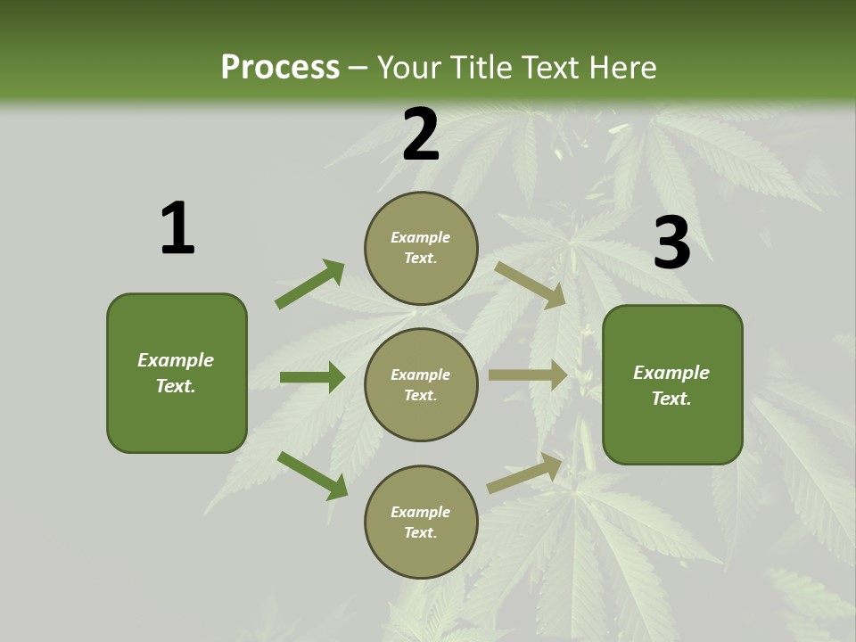 Floral Agriculture Illegal PowerPoint Template