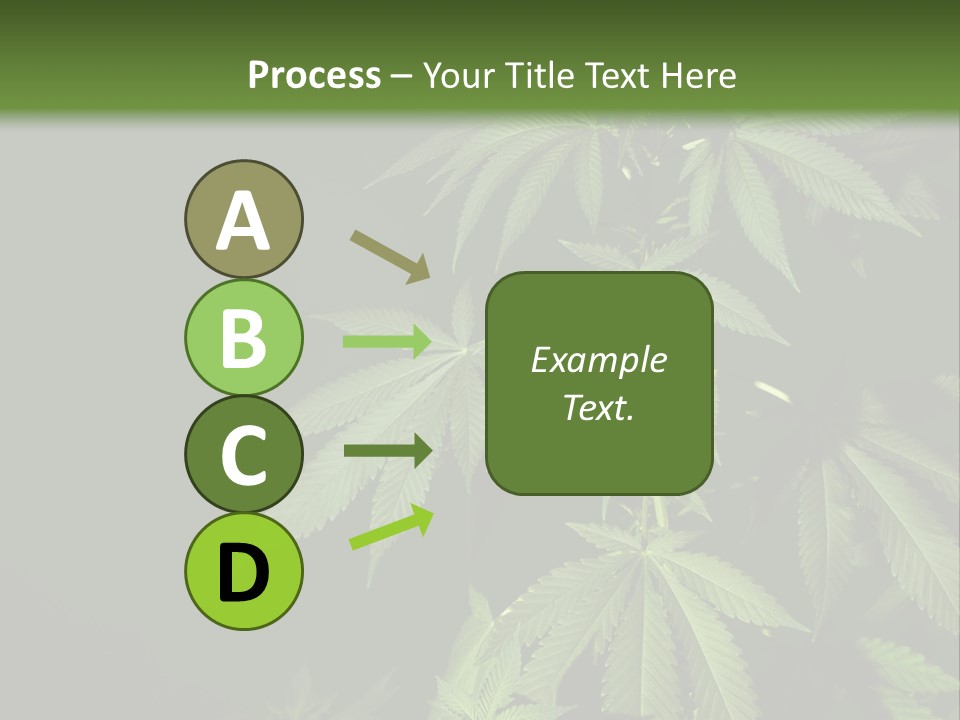 Floral Agriculture Illegal PowerPoint Template