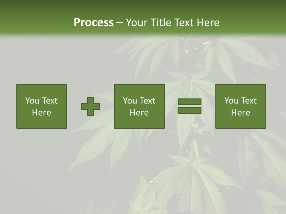 Floral Agriculture Illegal PowerPoint Template
