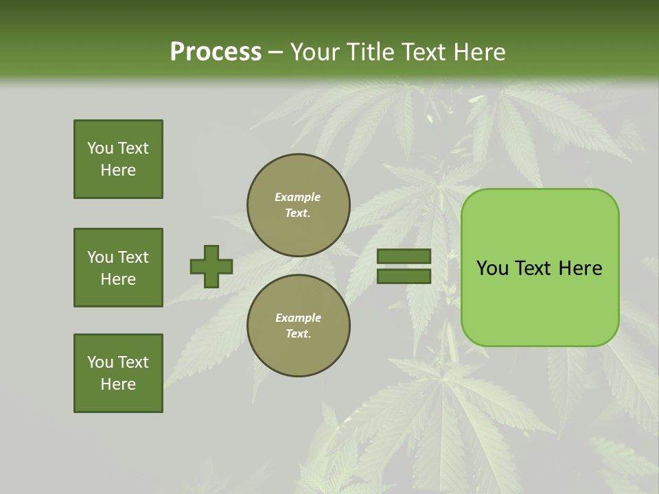 Floral Agriculture Illegal PowerPoint Template