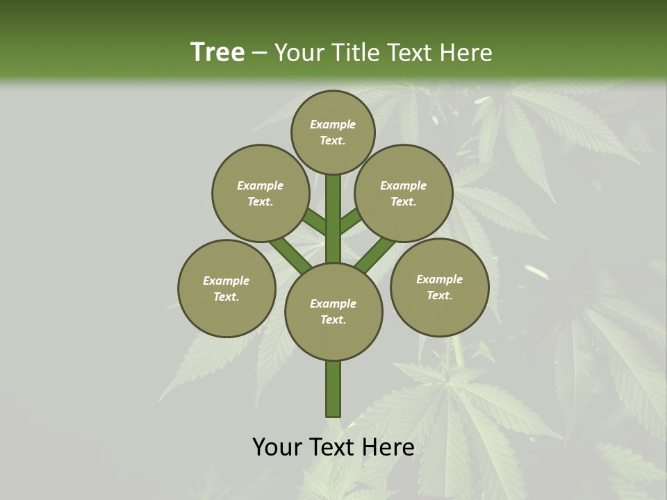 Floral Agriculture Illegal PowerPoint Template