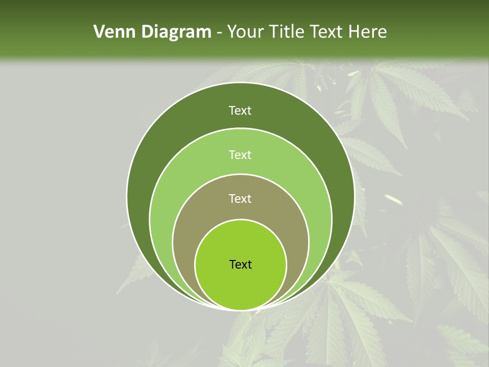 Floral Agriculture Illegal PowerPoint Template