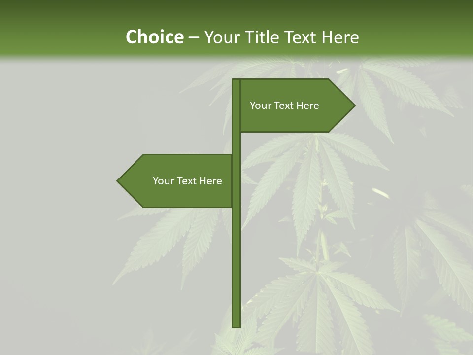 Floral Agriculture Illegal PowerPoint Template