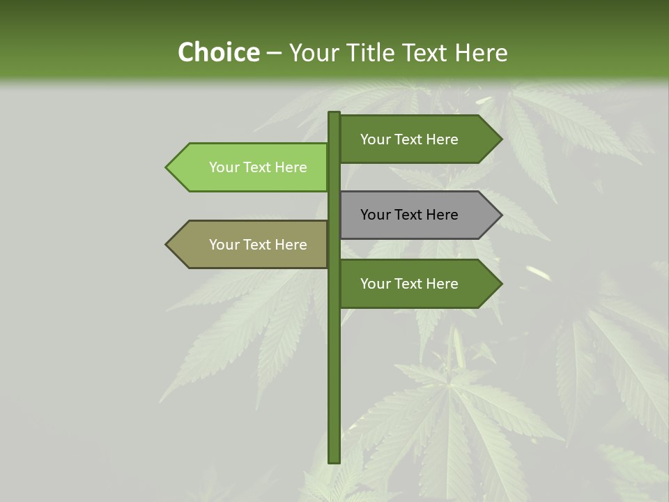 Floral Agriculture Illegal PowerPoint Template