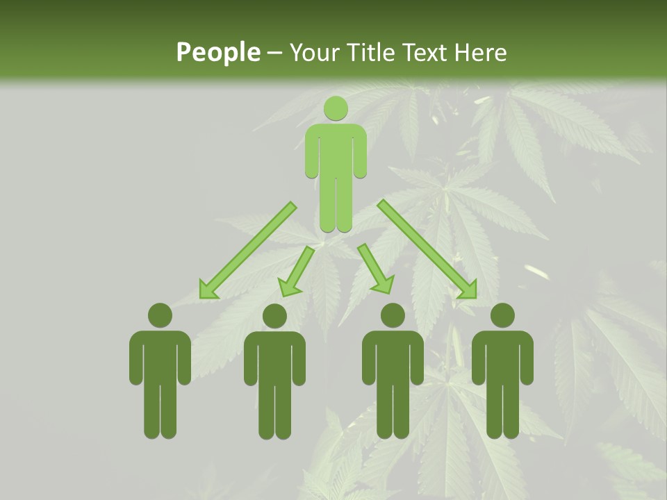 Floral Agriculture Illegal PowerPoint Template