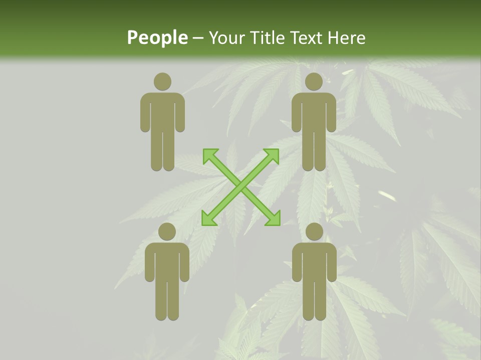 Floral Agriculture Illegal PowerPoint Template