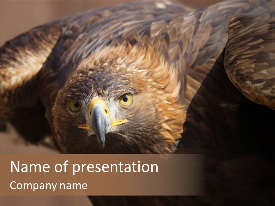 Head Animal Tailed PowerPoint Template
