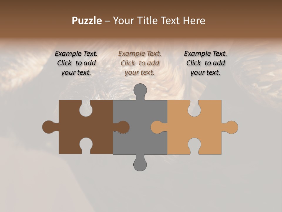 Head Animal Tailed PowerPoint Template