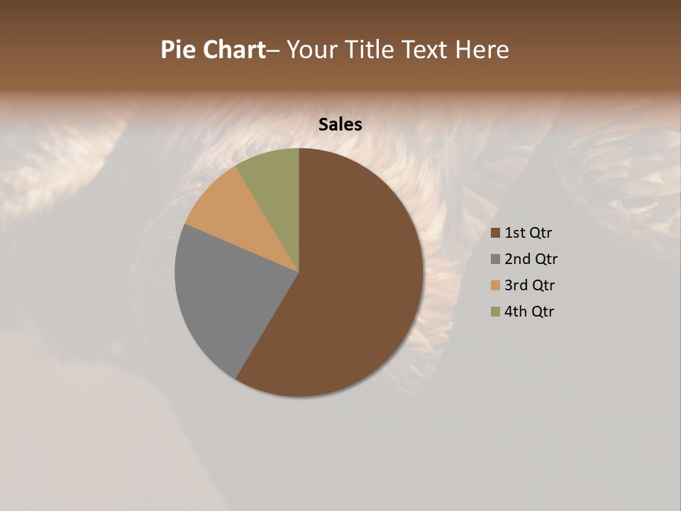 Head Animal Tailed PowerPoint Template