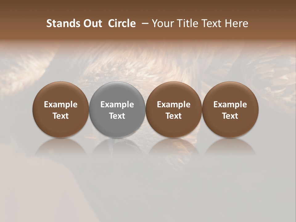 Head Animal Tailed PowerPoint Template