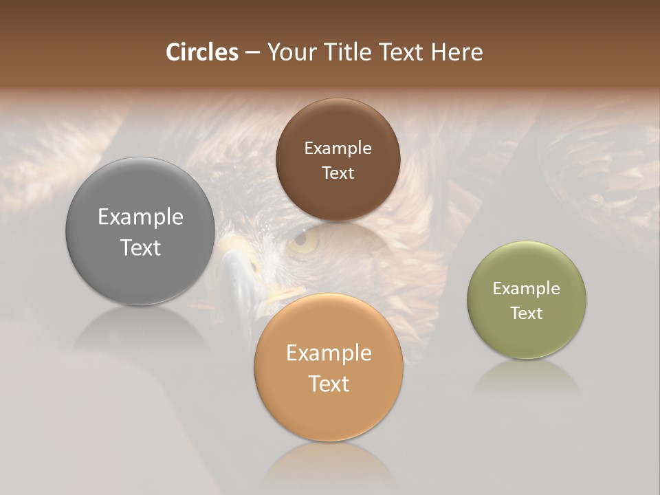 Head Animal Tailed PowerPoint Template