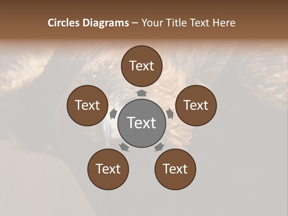 Head Animal Tailed PowerPoint Template