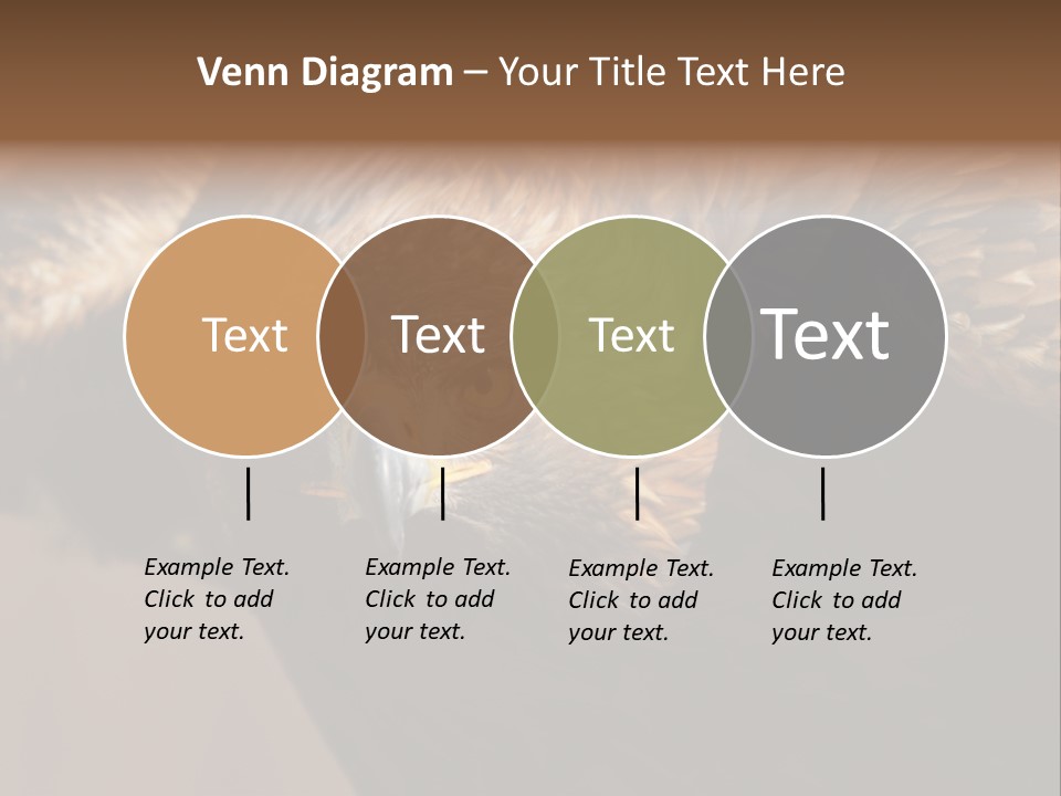 Head Animal Tailed PowerPoint Template