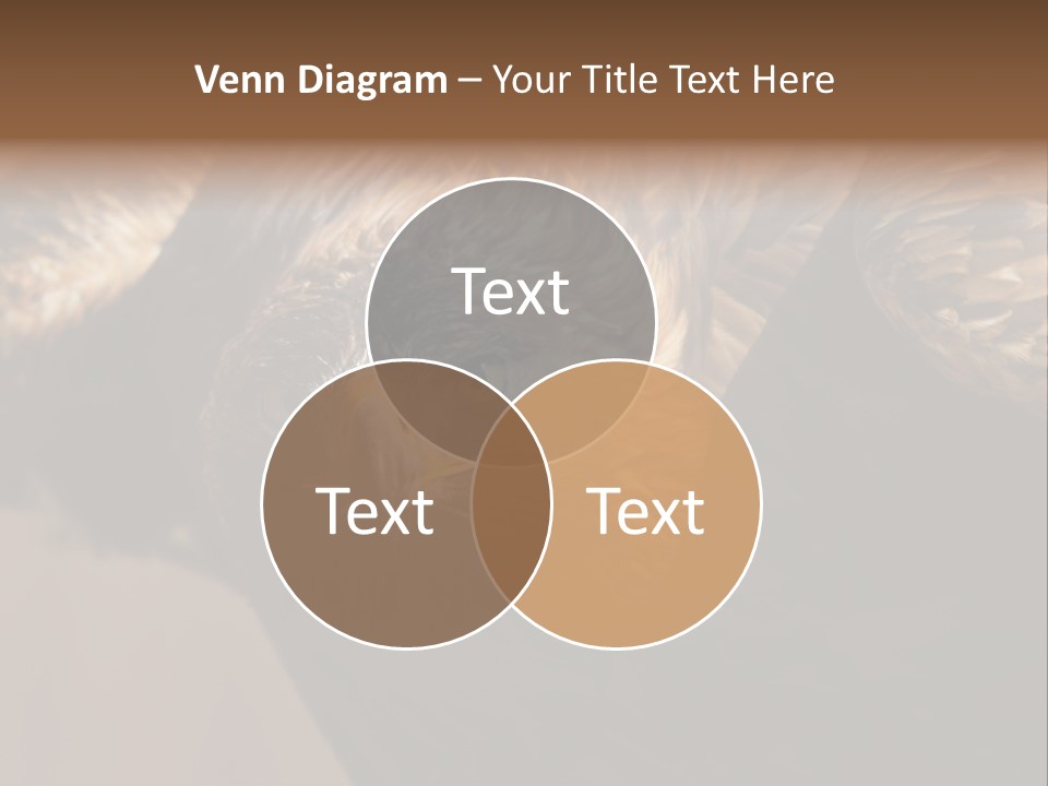 Head Animal Tailed PowerPoint Template