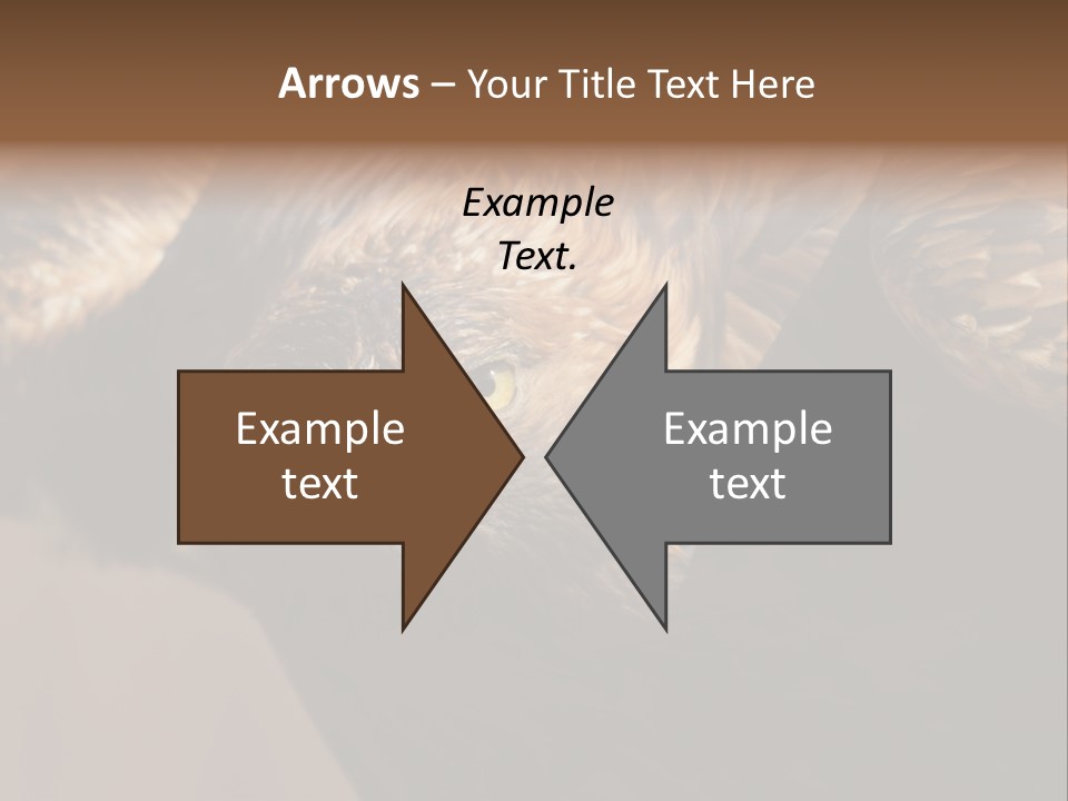Head Animal Tailed PowerPoint Template