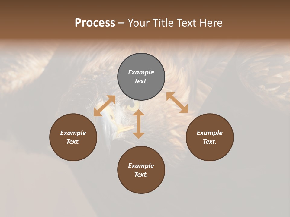 Head Animal Tailed PowerPoint Template