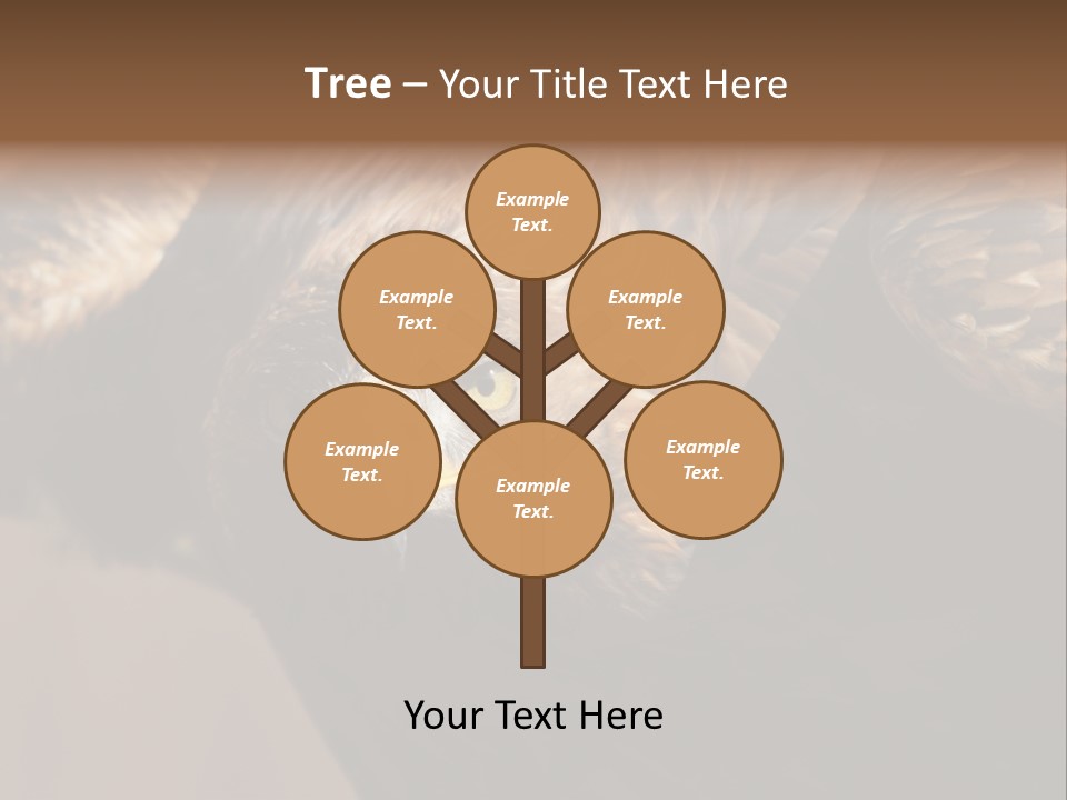 Head Animal Tailed PowerPoint Template