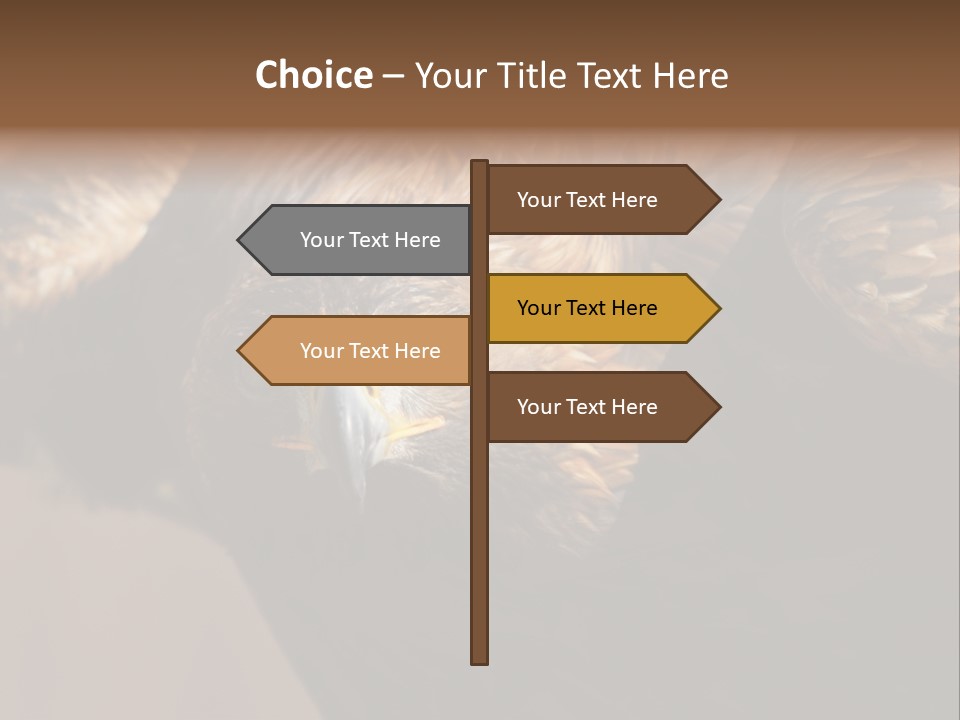 Head Animal Tailed PowerPoint Template