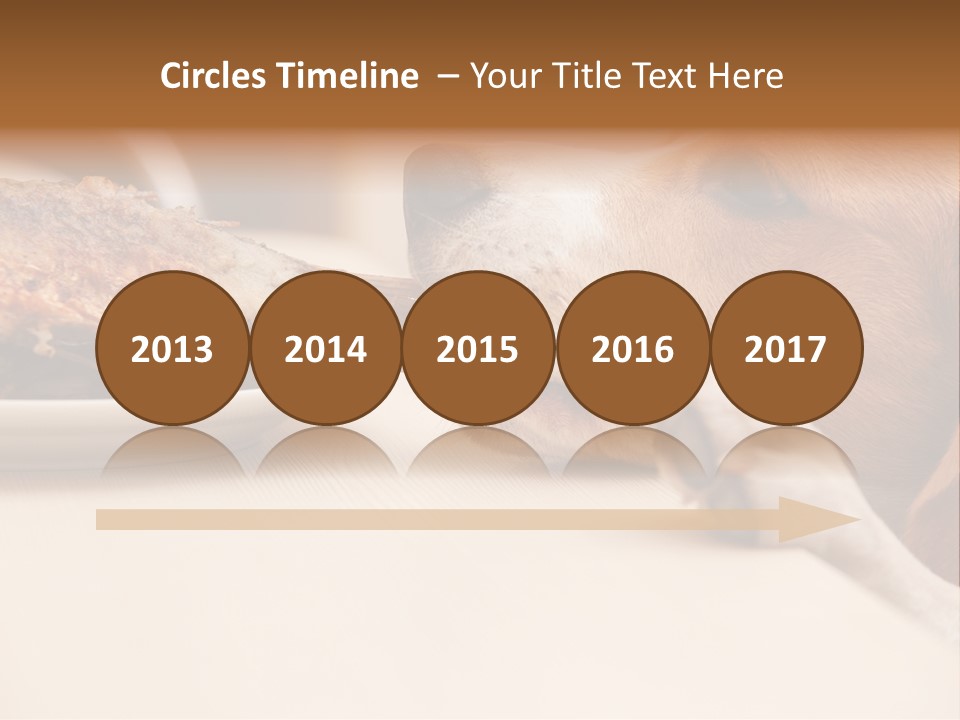 Fish Beagle Puppy PowerPoint Template