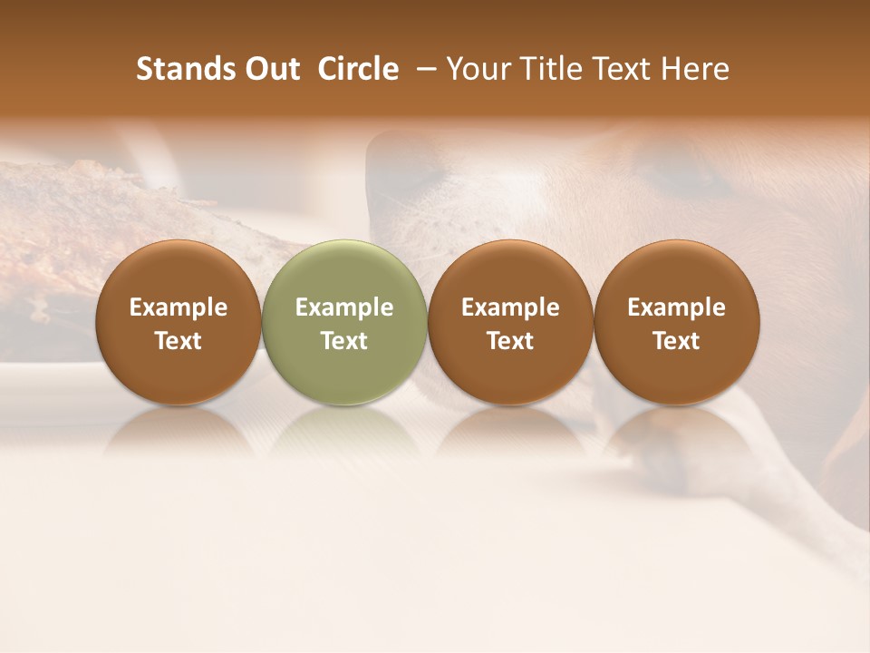 Fish Beagle Puppy PowerPoint Template