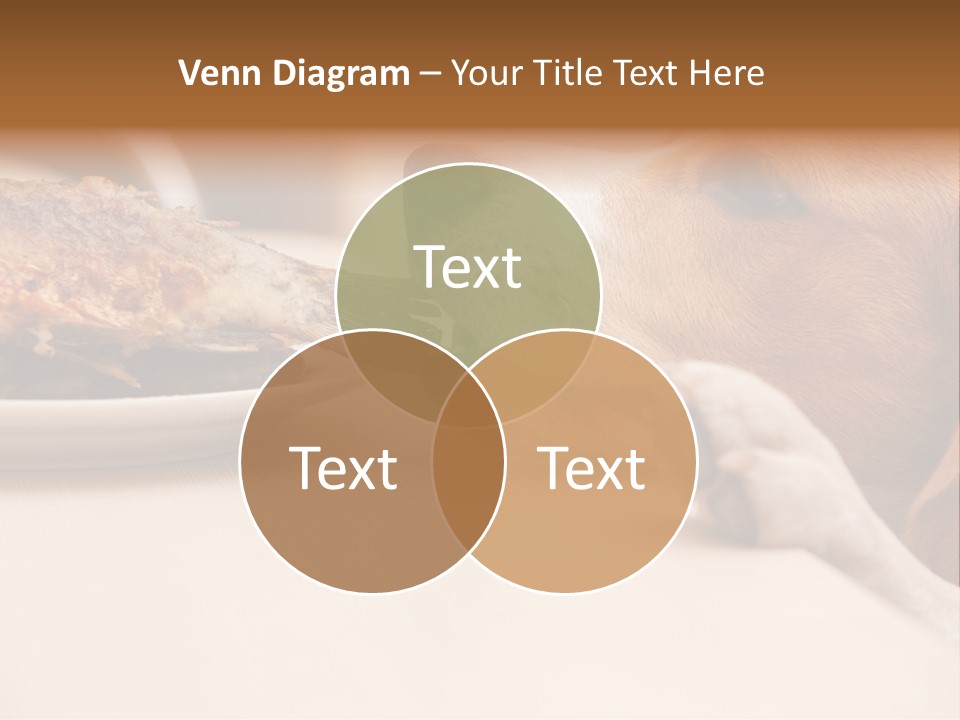 Fish Beagle Puppy PowerPoint Template