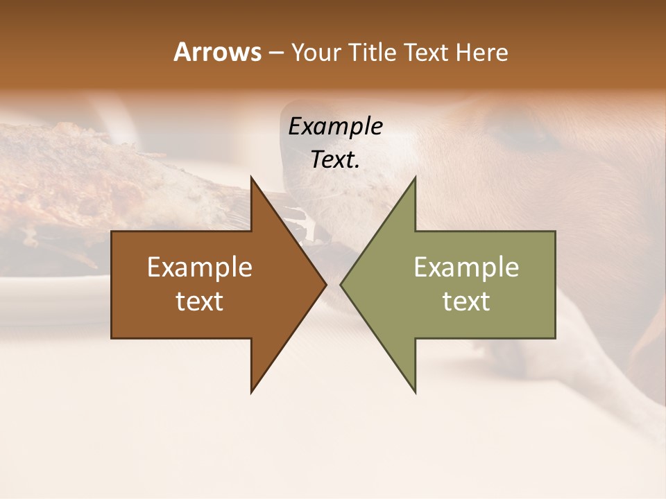 Fish Beagle Puppy PowerPoint Template