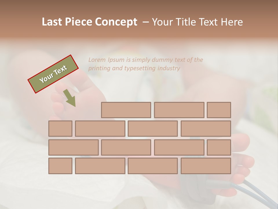 Health Care Electronic Birth PowerPoint Template