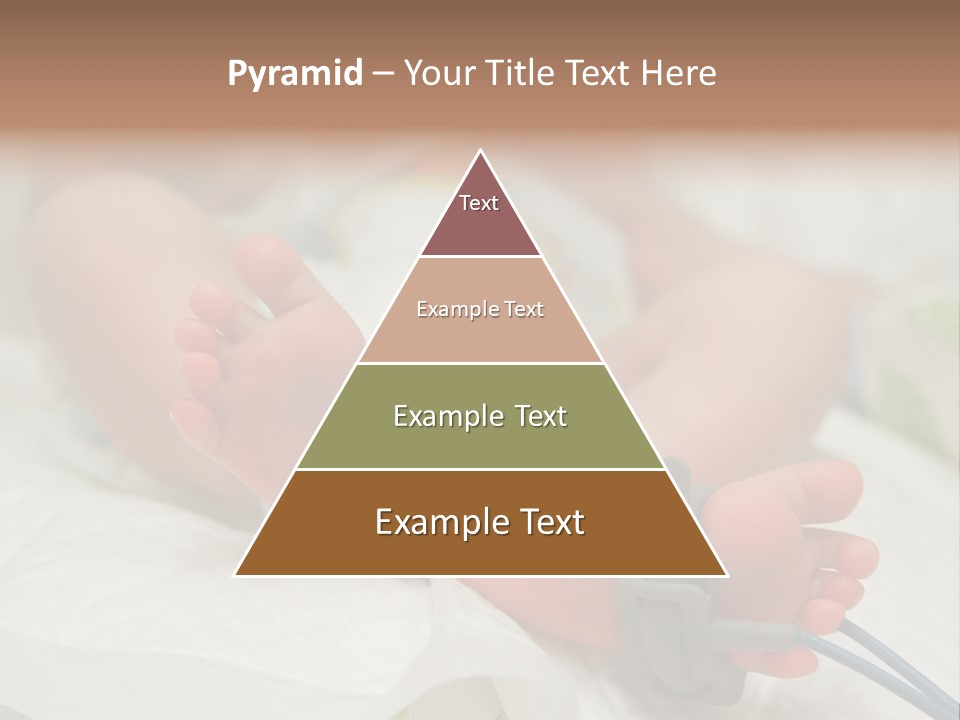 Health Care Electronic Birth PowerPoint Template